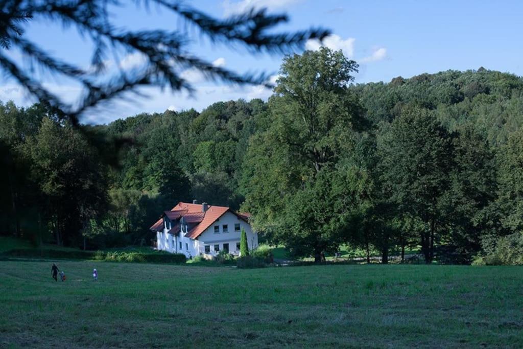 Limabach - Oberfrohna Wald-Apartment מראה חיצוני תמונה