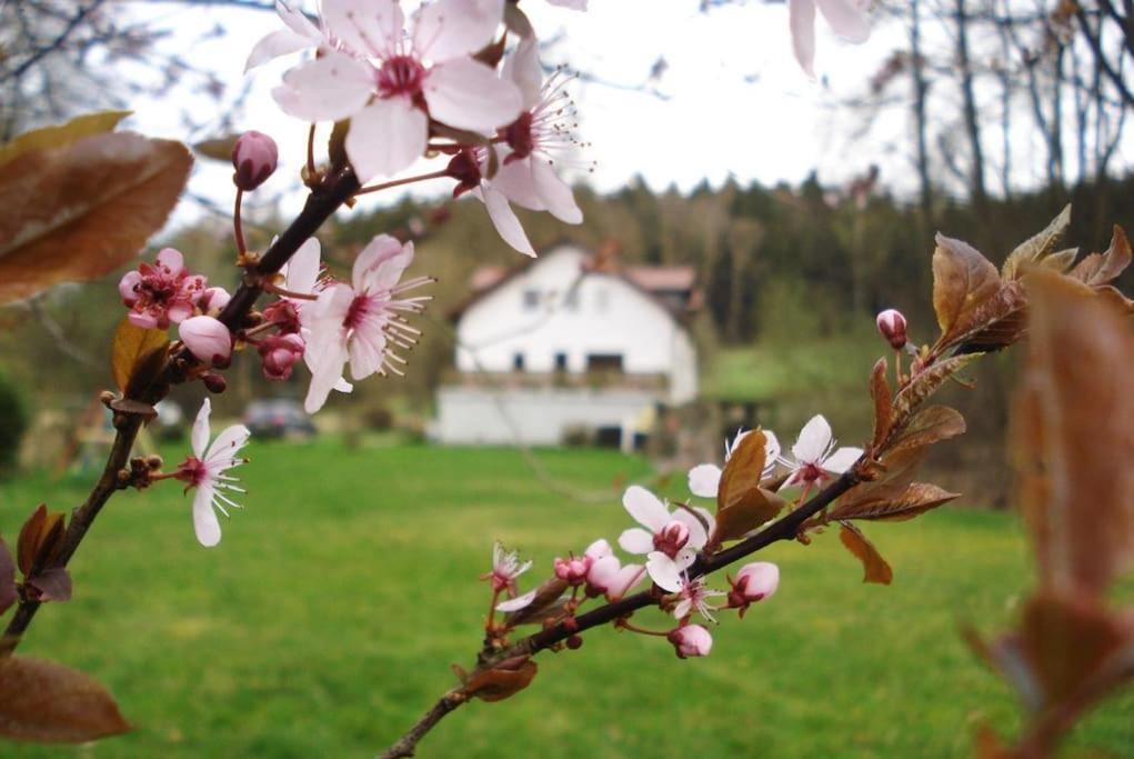 Limabach - Oberfrohna Wald-Apartment מראה חיצוני תמונה