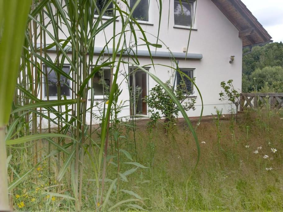 Limabach - Oberfrohna Wald-Apartment מראה חיצוני תמונה
