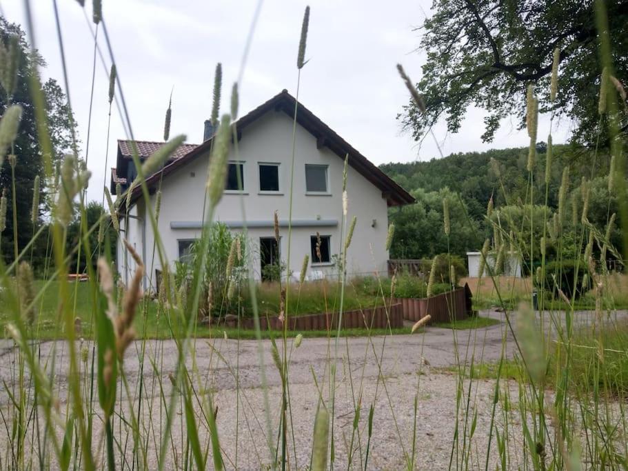 Limabach - Oberfrohna Wald-Apartment מראה חיצוני תמונה