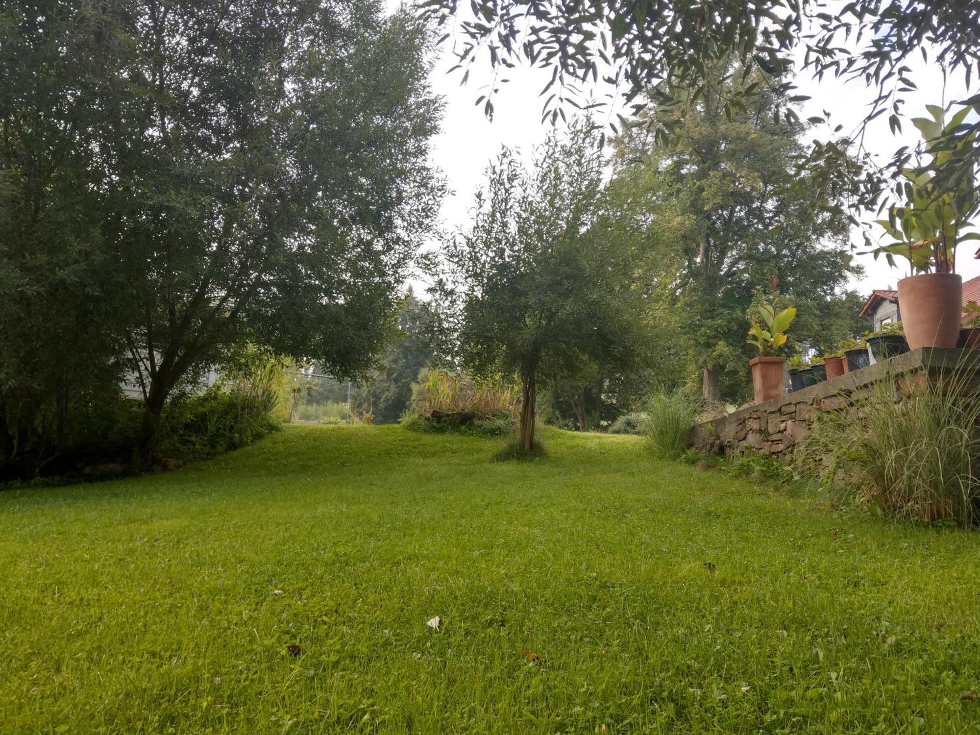 Limabach - Oberfrohna Wald-Apartment מראה חיצוני תמונה